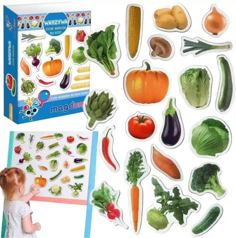 Warzywa. Zestaw magnesów - tantis.pl