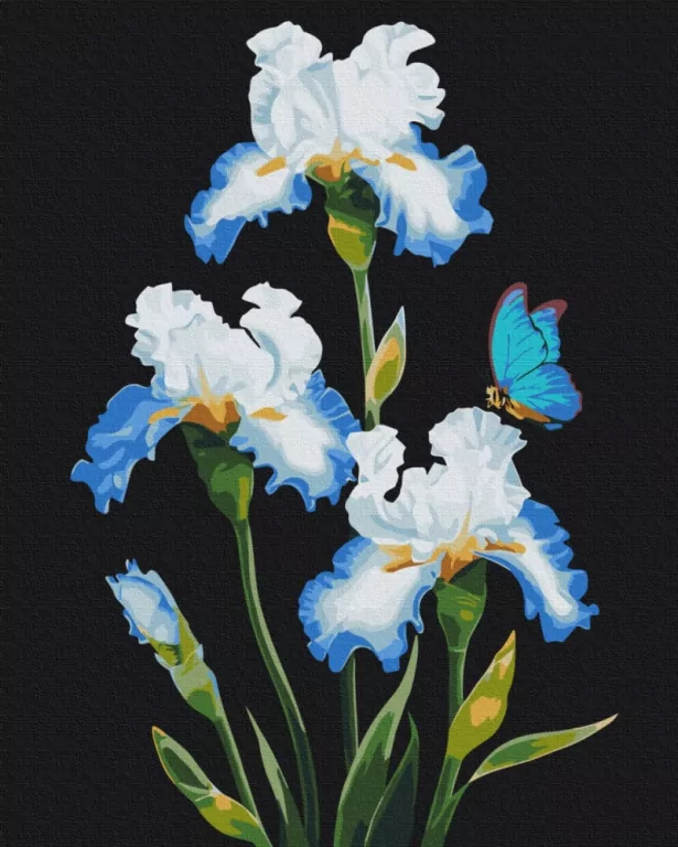 Malowanie po numerach BRUSHME 40x50 cm Irysy - tantis.pl