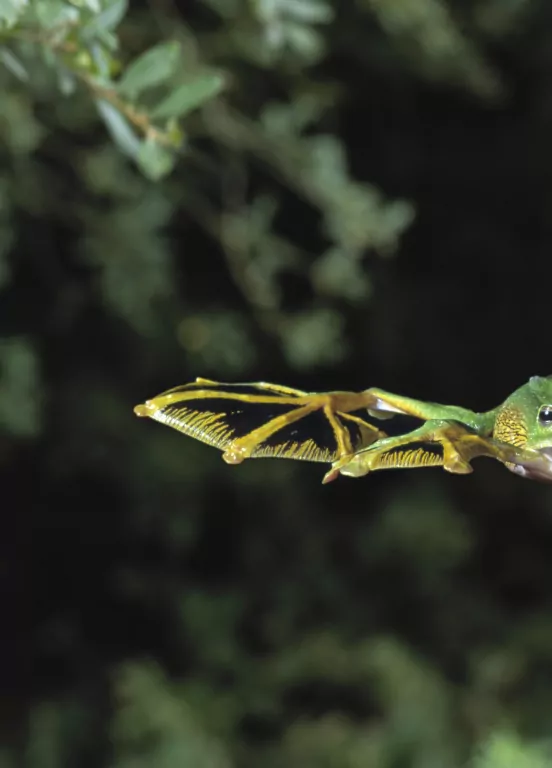 Życie na Ziemi. Najwspanialsza historia na świecie - tantis.pl