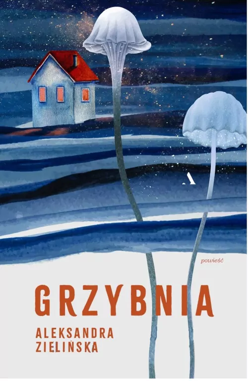 Grzybnia - tantis.pl