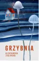 Grzybnia - tantis.pl
