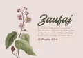 Karnet - Zaufaj - kwiatki - tantis.pl