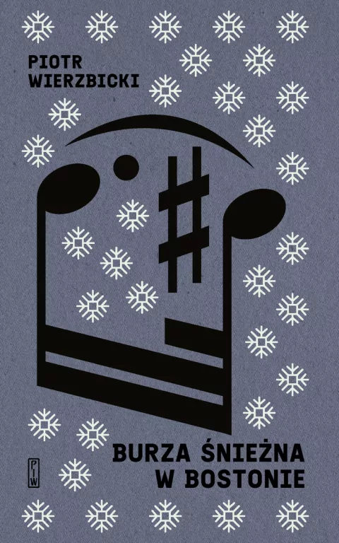 Burza śnieżna w Bostonie - tantis.pl