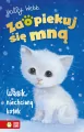Wąsik, niechciany kotek. Zaopiekuj się mną - tantis.pl
