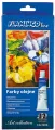 Farby olejne w tubie 12 kolorów 12 ml - tantis.pl