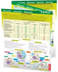 Maxi ściąga. Biologia