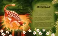 Księga dinozaurów - tantis.pl