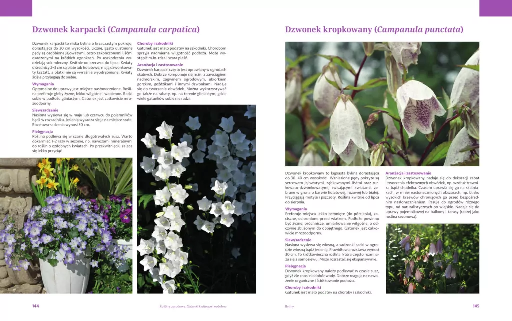 Rośliny ogrodowe. Gatunki kwitnące i ozdobne - tantis.pl