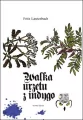 Walka urzetu z indygo - tantis.pl