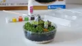 Harry Potter. Terrarium. 19248 - tantis.pl