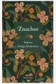 Znachor - tantis.pl