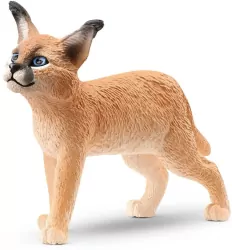 Młode karakala 14868