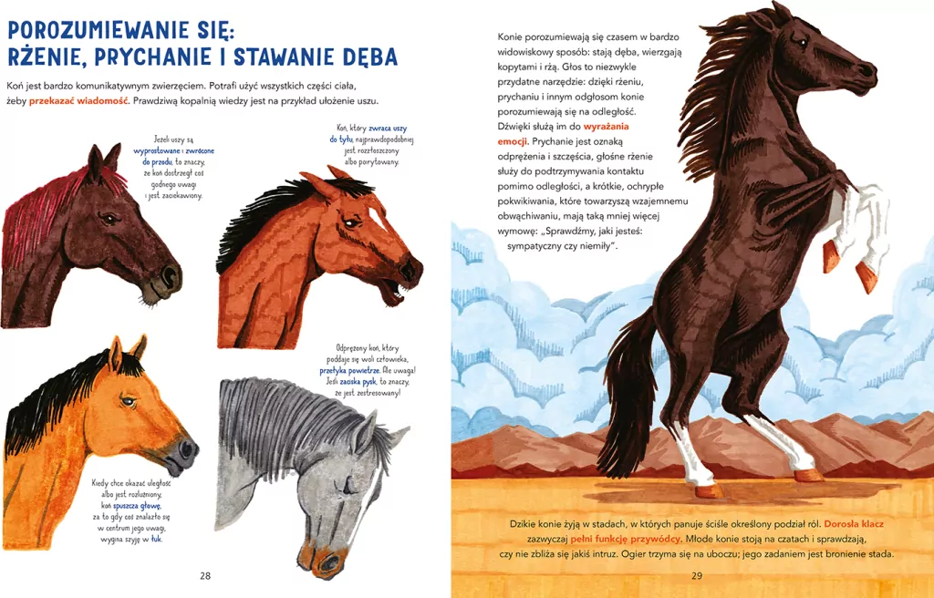 W galopie! Ilustrowana księga koni - tantis.pl