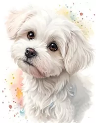 Diamentowa Mozaika Pies maltańczyk portret NO-2003090