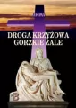 Droga Krzyżowa. Gorzkie Żale - tantis.pl