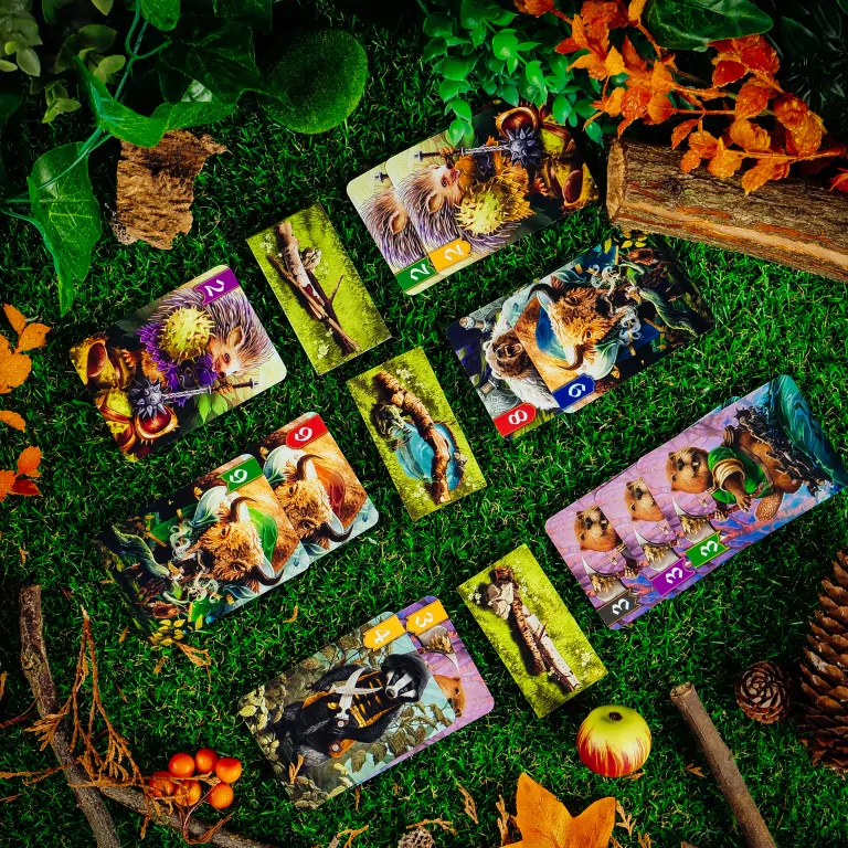 Spór o bór. Gra karciana. MUDUKO - tantis.pl