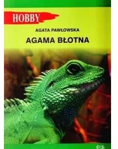 Agama błotna - tantis.pl