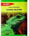 Agama błotna - tantis.pl
