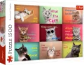 Puzzle 1500. Zabawne kocie portrety - tantis.pl