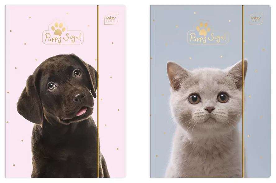 Teczka z gumką A4+. LUX UV. Puppy Sign. Mix 1 szt - tantis.pl