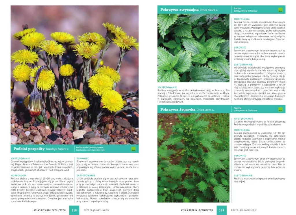 Atlas roślin leczniczych - tantis.pl