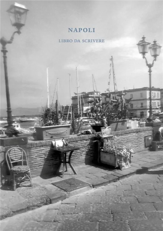 Napoli. Libro da scrivere - tantis.pl