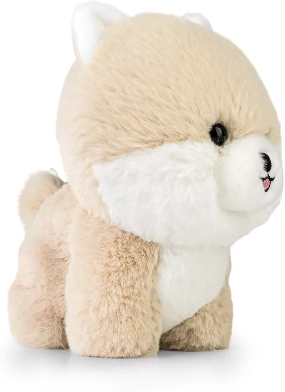 Maskotka Pomeranian - tantis.pl