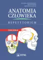 Anatomia człowieka. Repetytorium. Ćwiczenia - tantis.pl