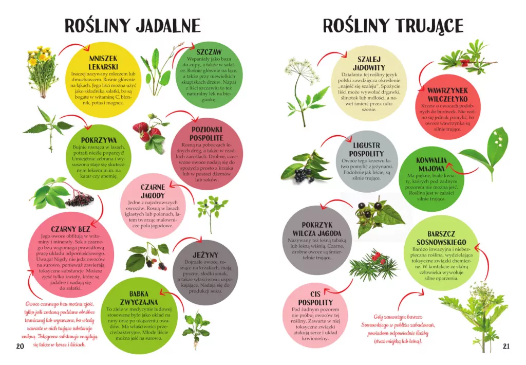 Poradnik wędrowca. Wyprawy do lasu, góry i nad wodę - tantis.pl