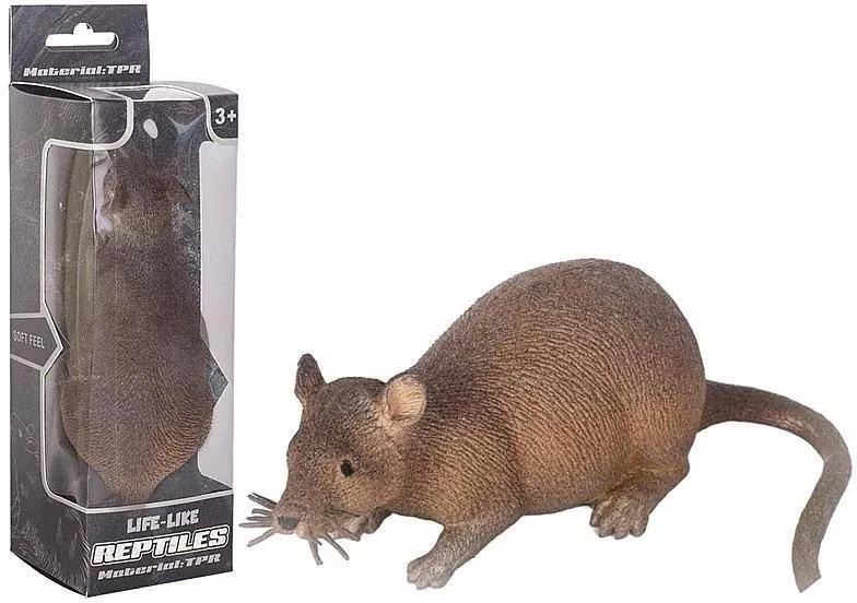 Szczur - tantis.pl