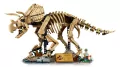 LEGO® Szkielety dinozaurów: triceratops 77985 - tantis.pl
