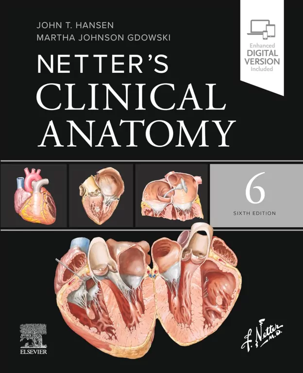 Netter's Clinical Anatomy, 6th Edition - tantis.pl