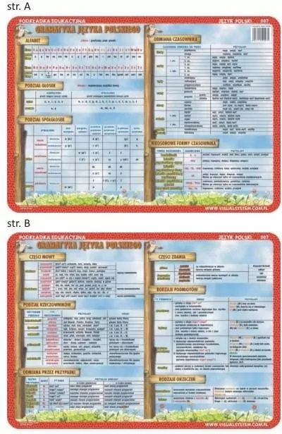 Podkładka edukacyjna. Gramatyka języka polskiego. Alfabet, odmiana czasownika, części mowy, części zdania - tantis.pl