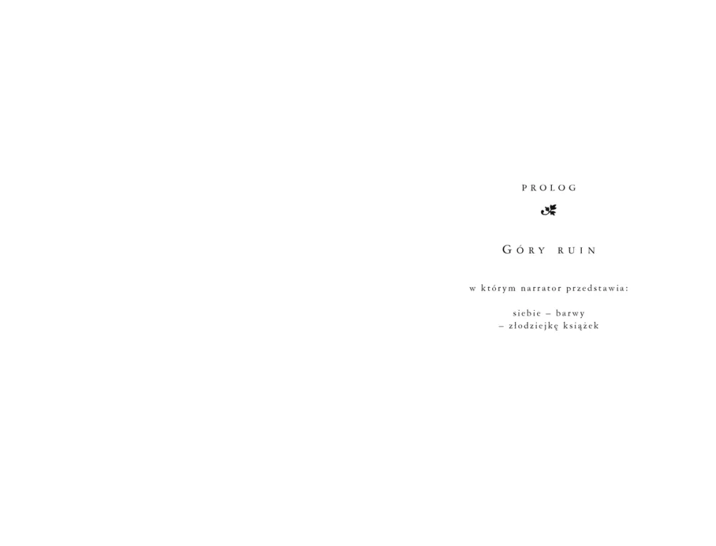 Złodziejka książek - tantis.pl