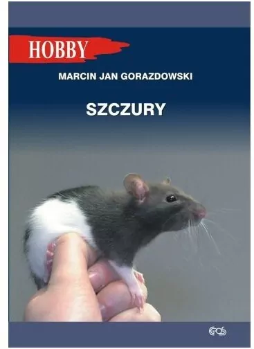 Szczury - tantis.pl