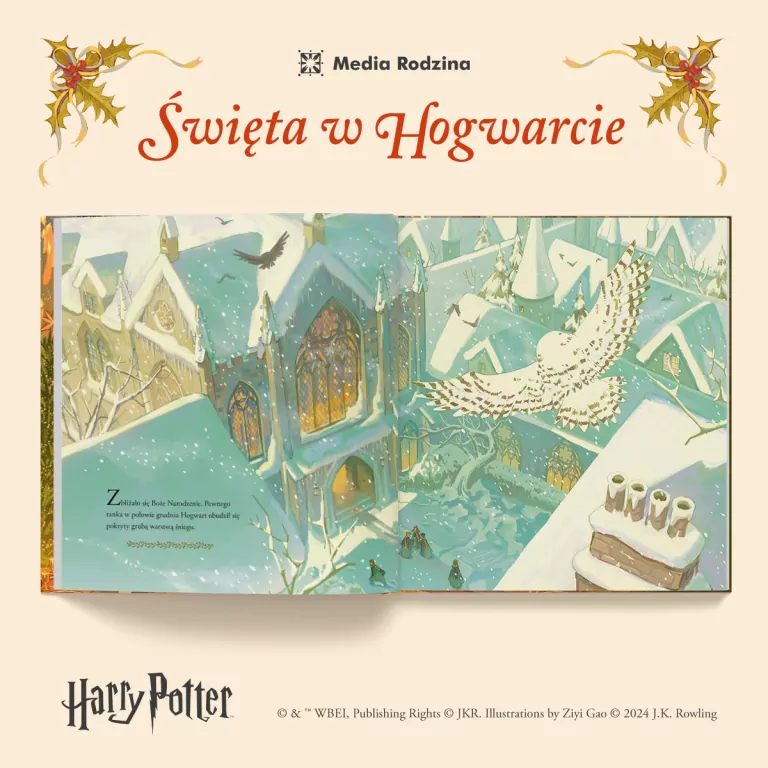 Święta w Hogwarcie. Harry Potter - tantis.pl