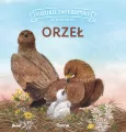 Orzeł. Dzikie zwierzęta w naturze - tantis.pl