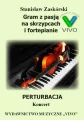 Gram z pasją. Perturbacja. Koncert - tantis.pl