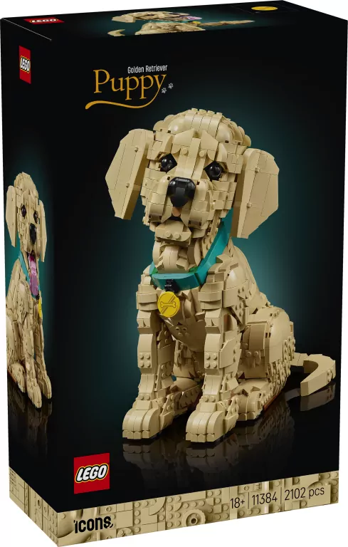LEGO® Icons. Szczeniak golden retriever 11384 - tantis.pl