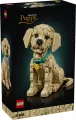 LEGO® Icons. Szczeniak golden retriever 11384 - tantis.pl