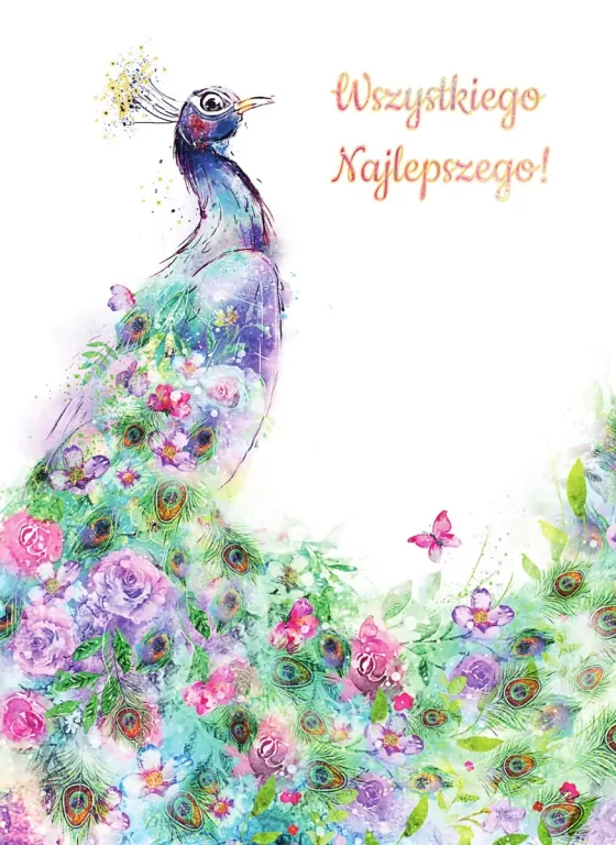 Karnet B6 Paw 2 - tantis.pl