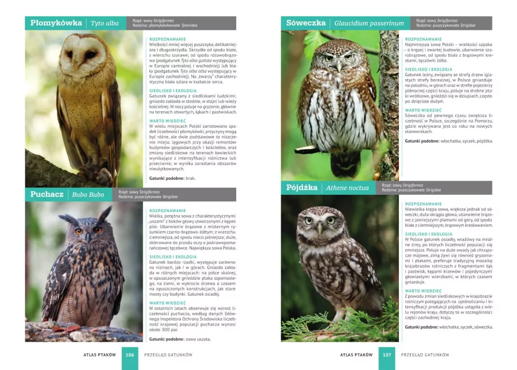 Atlas ptaków. 250 polskich gatunków - tantis.pl