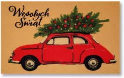 Wycieraczka do butów Auto