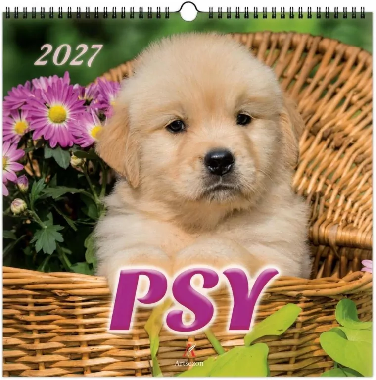 Kalendarz 2027 wieloplanszowy 33x33cm Psy - tantis.pl