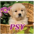 Kalendarz 2027 wieloplanszowy 33x33cm Psy - tantis.pl