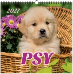 Kalendarz 2027 wieloplanszowy 33x33cm Psy