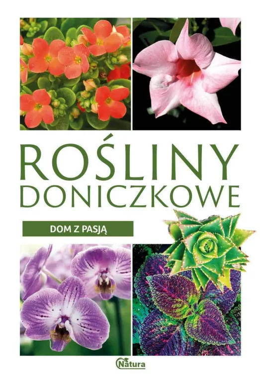 Rośliny doniczkowe. Dom z pasją - tantis.pl