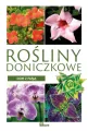 Rośliny doniczkowe. Dom z pasją - tantis.pl