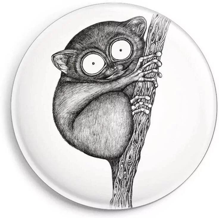 Magnes Wyrak - tantis.pl