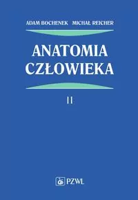 Anatomia człowieka. Tom 2 - tantis.pl